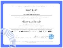  ШКОЛА СТІЙКОСТІ
