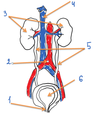 0603beuy-d945-242x287.png