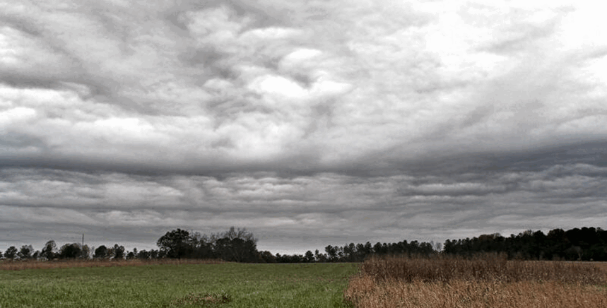 0603bf6t-4414-859x436.png