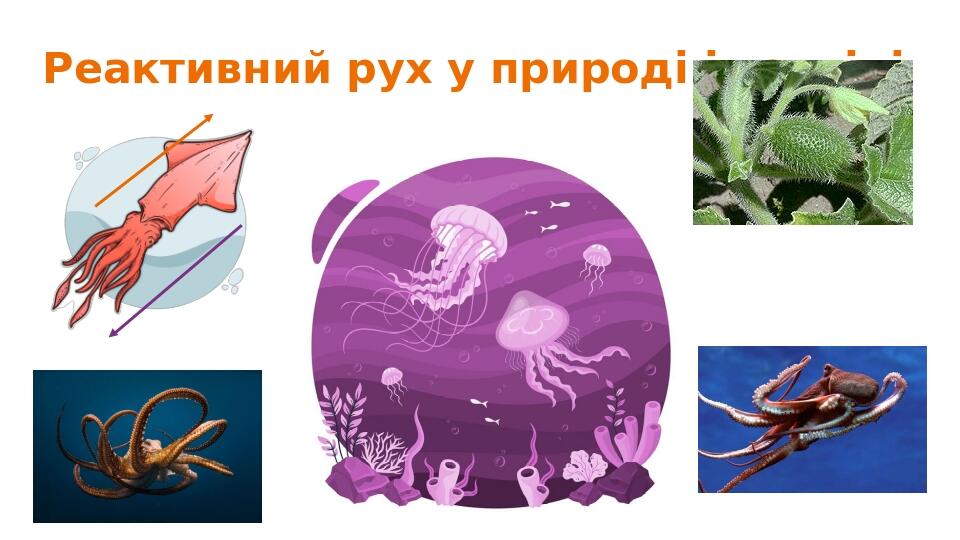 Реактивний рух у природі і техніці