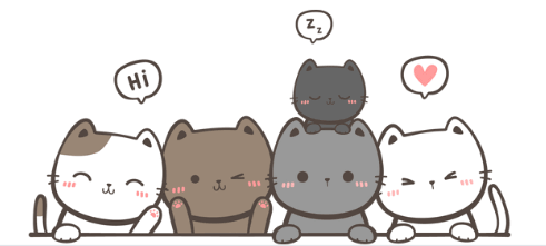 0603bh89-018f-491x221.png