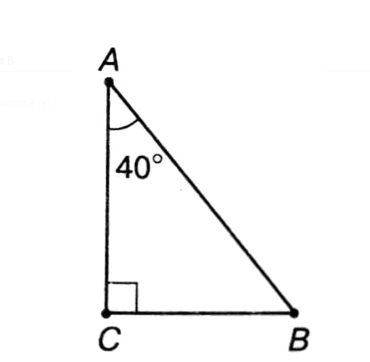 0603bhuq-1667-534x522.png