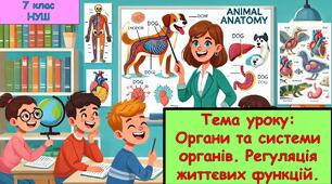 Презентація з біології для учнів 7 класу НУШ. Тема уроку: Органи та системи органів. Регуляція життєвих функцій.