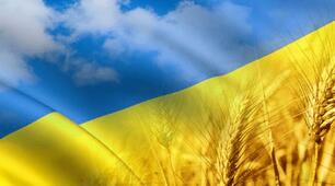 Пазли "Символи України" Варіант 2
