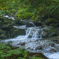 0603br3e-8a13-240x240.jpg