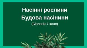 Презентація "Насінні рослини. Будова насінини"