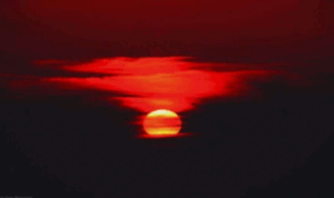 0603bsit-612c-300x178.png