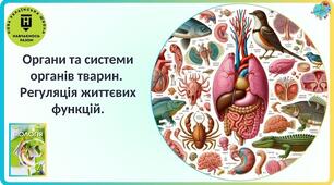 Системи органів тварин та їх функції. Нейрогуморальна регуляція життєвих функцій.