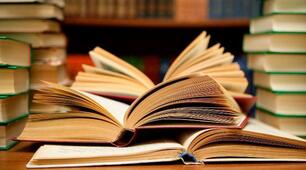 Do you need a book?8 клас