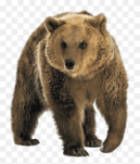 0603bvac-8b09-202x237.png