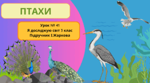Презентація до уроку Я досліджую світ 3 клас "Птахи"