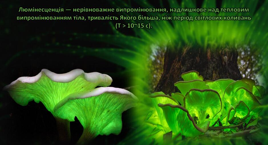0603bxul-d994-940x511.jpg