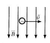 0603by0q-8a63-175x150.png