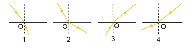 0603bywv-13d7-728x191.png