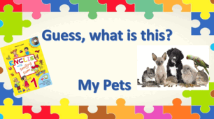 Інтерактивна розробка-гра "My Pets". 1 клас