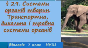 Презентація  до уроку  «§ 29. Системи органів тварин.»  7клас НУШ