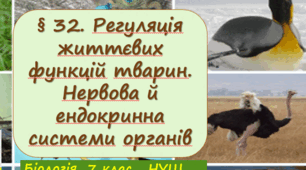 Презентація  до уроку  «§ 32. Регуляція життєвих функцій тварин."  7клас   НУШ