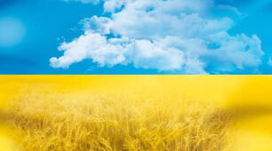 Плакати,  бутафорія до Дня Соборності України
