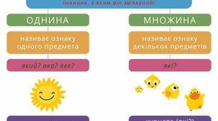 Число  прикметників