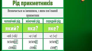 Число  та рід прикметників. Тренувальні вправи
