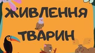 Поняття про перетворення речовин в організмі людини (від травної системи до клітини).