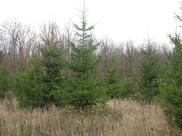 0603c2ii-facd-182x136.jpg