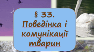 Презентація  до уроку  «§ 33. Поведінка і комунікації тварин»  7клас   НУШ