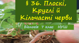 Презентація  до уроку  «§ 36. Плоскі, Круглі й Кільчасті черви»  7клас  НУШ