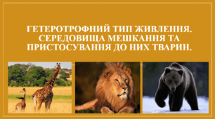 Презентація "Гетеротрофний тип живлення. Середовища мешкання та пристосування до них тварин."