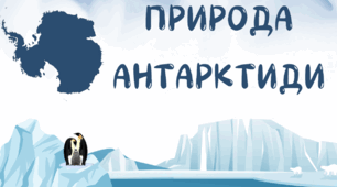 ПРИРОДА АНТАРКТИДИ 7 КЛАС НУШ