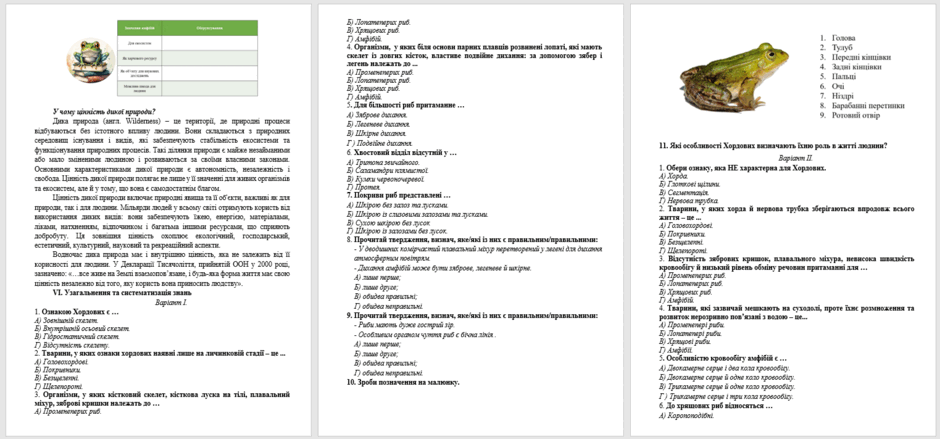 0603c563-5bde-940x439.png