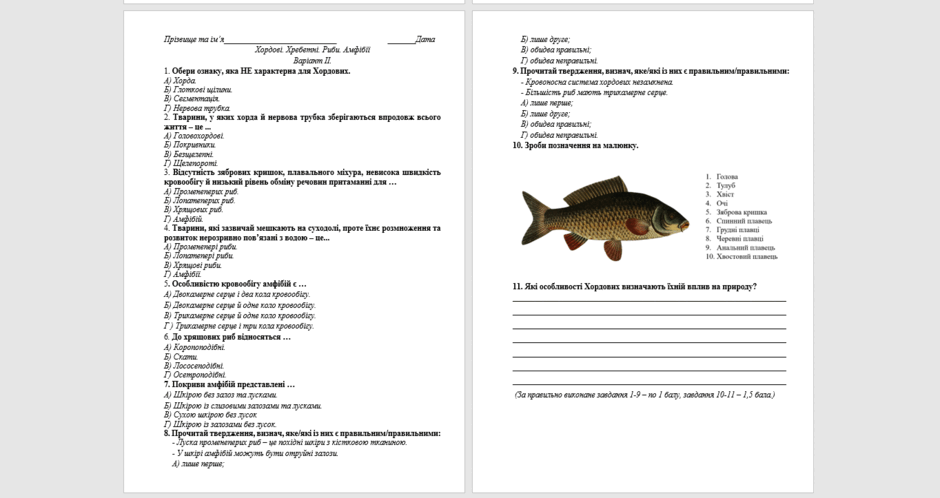 0603c568-4aa5-940x498.png