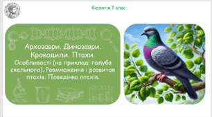Презентація, конспект уроку та робочі аркуші на тему "Архозаври. Динозаври. Крокодили. Птахи. Особливості (на прикладі голуба скельного). Розмноження і розвиток птахів. Поведінка птахів". 7 клас НУШ
