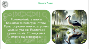 Презентація, конспект уроку та робочі аркуші на тему "Різноманітність птахів. Безкілеві та Кілегруді птахи. Пристосування птахів до різних умов існування. Екологічні групи птахів. Походження птахів від динозаврів". 7 клас НУШ