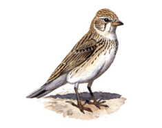 0603c612-e05e-235x186.png