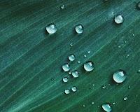 0603c77b-df94-200x160.jpg