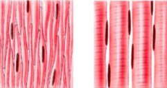 0603c7dg-ed35-241x128.png