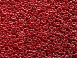 0603c7di-4ffc-253x190.png