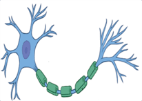 0603c7dk-11d2-206x146.png