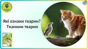  Ознаки тварин. Тканини тварин.