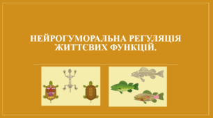 Презентація "Органи та системи органів. Нейрогуморальна регуляція життєвих функцій."