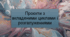 Проєкти з вкладеними циклами і розгалуженнями. Конспект + презентація