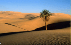 0603c86l-45f7-298x190.png
