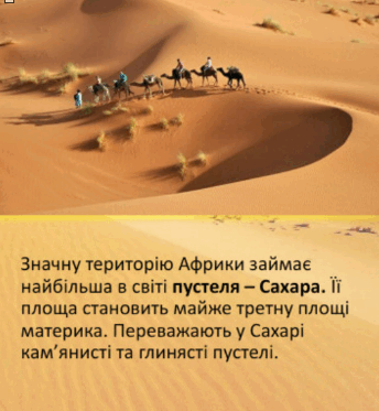 0603c86r-fc55-344x373.png