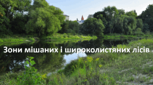 Презентація до уроку: "Зони мішаних і широколистяних лісів"