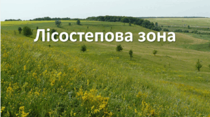 Презентація до уроку: "Лісостепова зона"