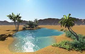 29,300+ Water Oasis Stock Photos, Pictures & Royalty-Free Images - iStock | Tataouine oasis, Siwa oasis, Kharga oasis