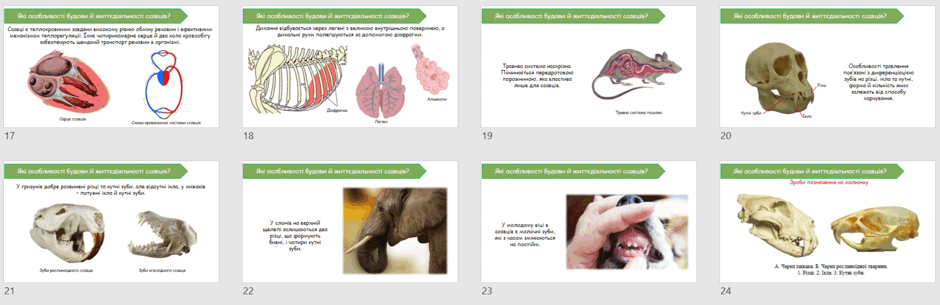 0603c8xw-a619-940x305.png
