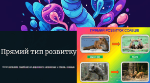 Типи розмноження тварин
