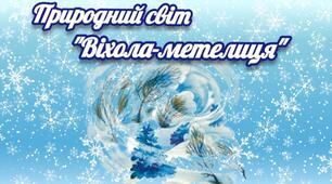Заняття з природного довкілля "Віхола-метелиця"